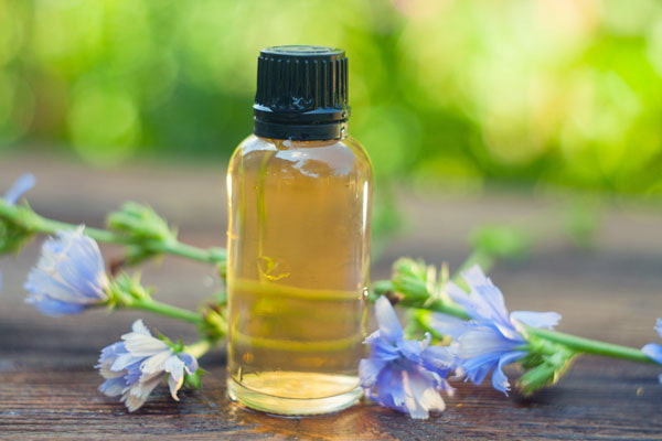 تصویر 5 از قیمت اسانس گیاه کاسنی + خرید باور نکردنی